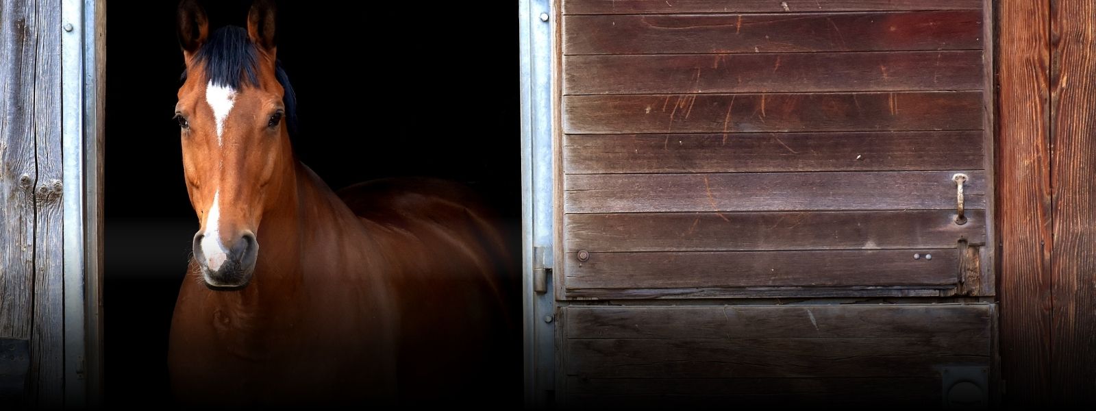 Best Agent to Sell Horse Properties in Kane County, Illinois